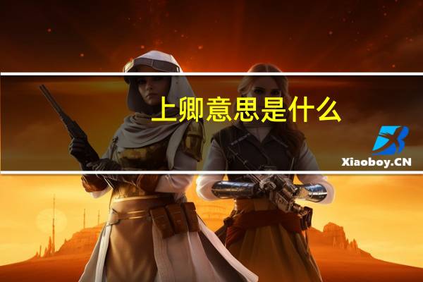 上卿意思是什么