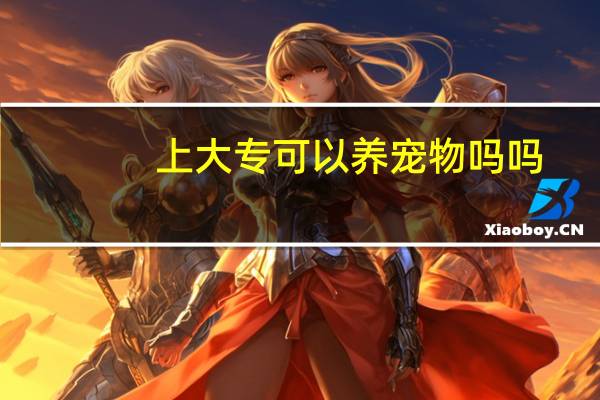上大专可以养宠物吗吗
