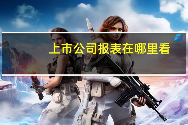 上市公司报表在哪里看