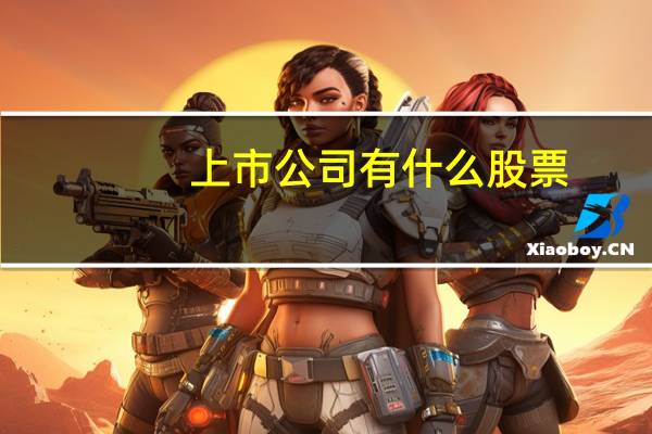 上市公司有什么股票