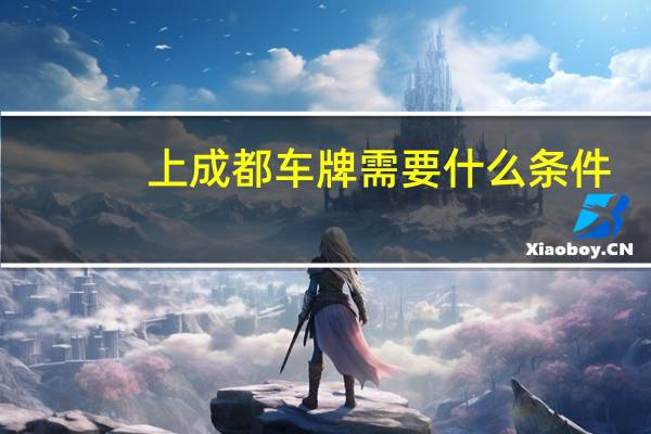 上成都车牌需要什么条件