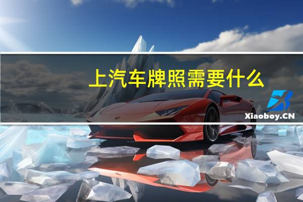 上汽车牌照需要什么