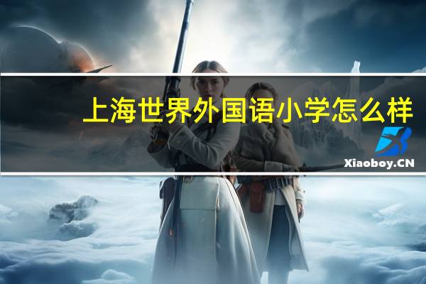 上海世界外国语小学怎么样