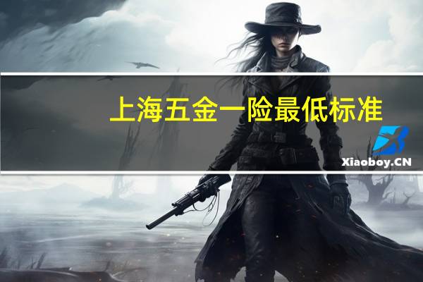 上海五金一险最低标准