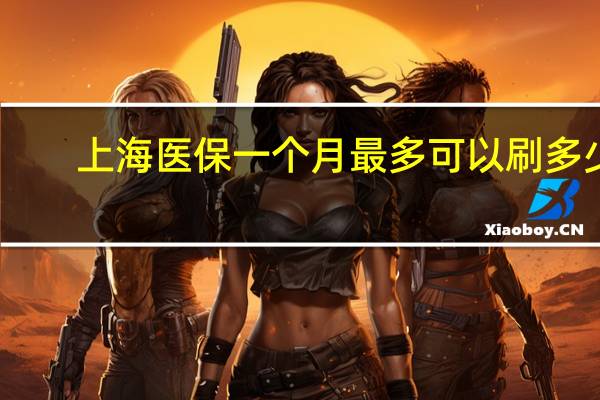 上海医保一个月最多可以刷多少