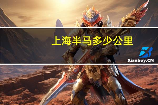 上海半马多少公里
