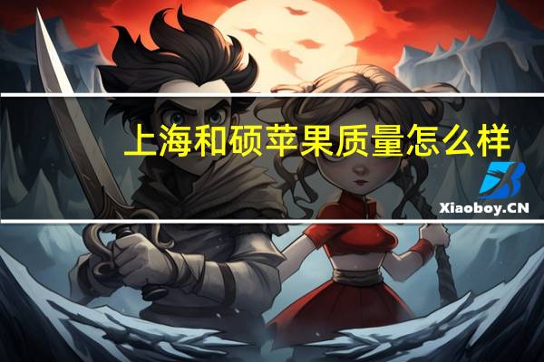 上海和硕苹果质量怎么样
