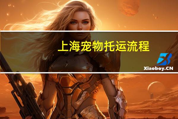 上海宠物托运流程