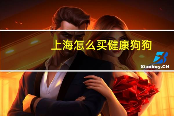 上海怎么买健康狗狗