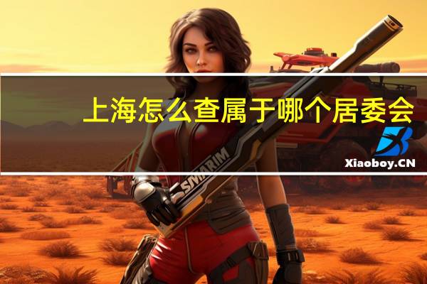 上海怎么查属于哪个居委会