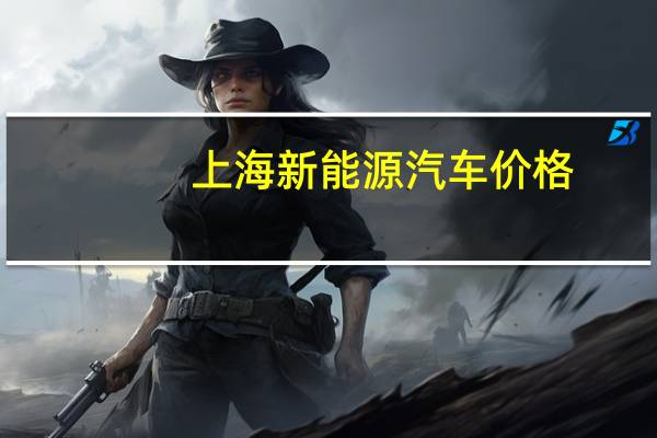 上海新能源汽车价格