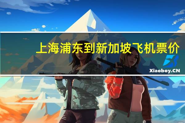 上海浦东到新加坡飞机票价