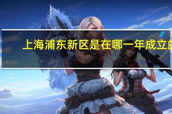 上海浦东新区是在哪一年成立的