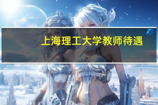 上海理工大学教师待遇