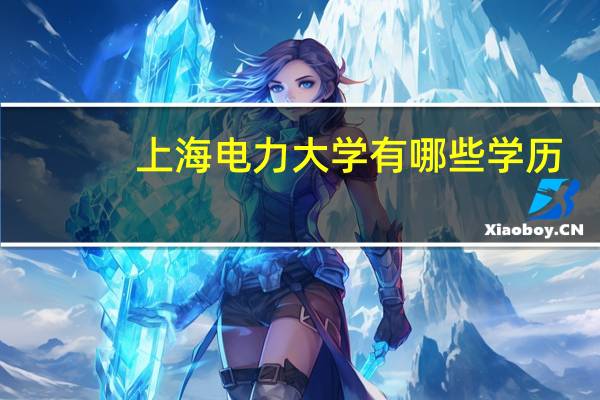 上海电力大学有哪些学历