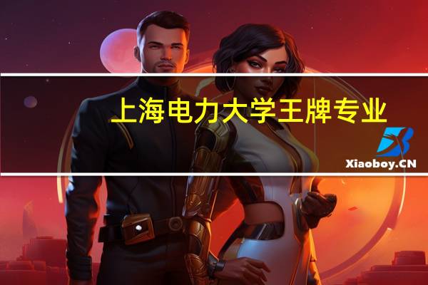上海电力大学王牌专业
