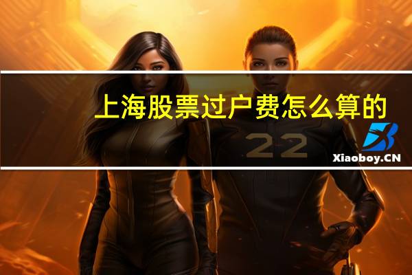 上海股票过户费怎么算的
