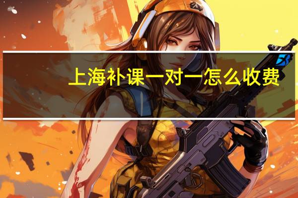 上海补课一对一怎么收费