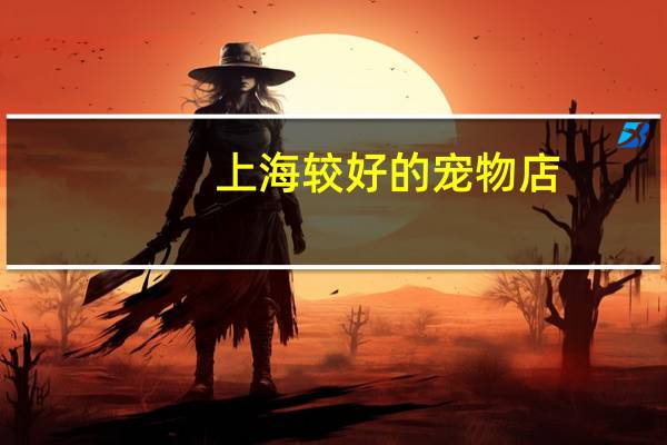 上海较好的宠物店