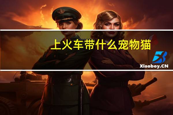 上火车带什么宠物猫