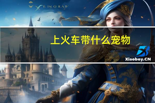 上火车带什么宠物