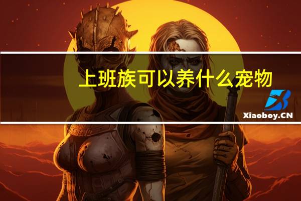 上班族可以养什么宠物