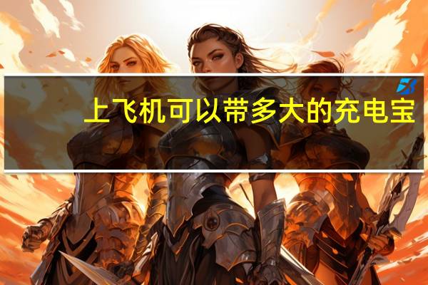 上飞机可以带多大的充电宝