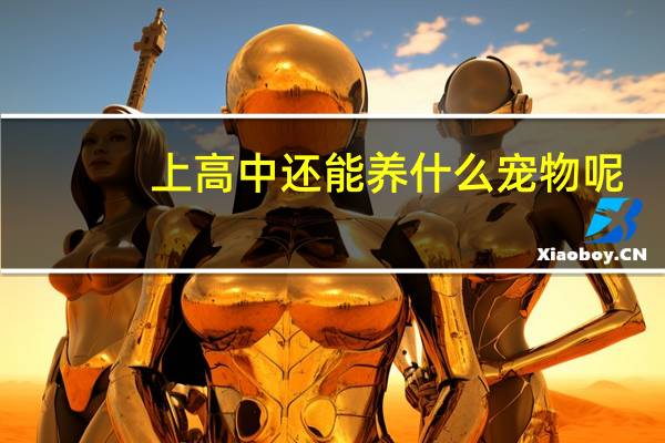 上高中还能养什么宠物呢