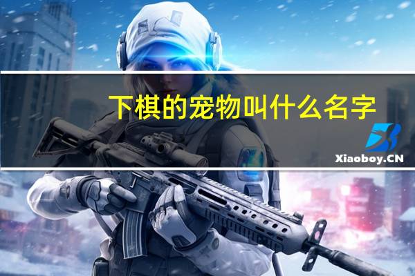 下棋的宠物叫什么名字