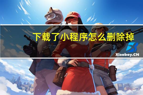 下载了小程序怎么删除掉