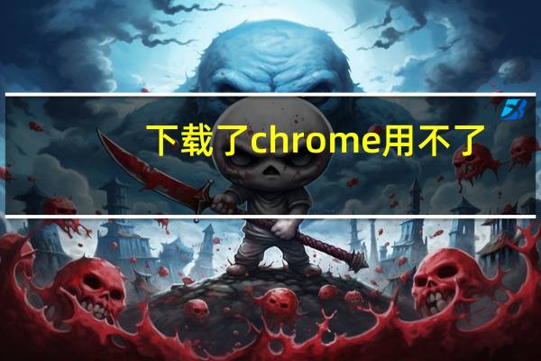 下载了chrome用不了