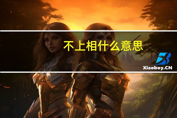 不上相什么意思