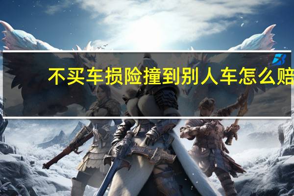 不买车损险撞到别人车怎么赔