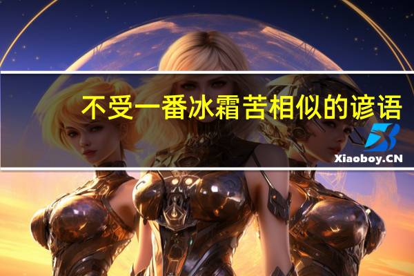 不受一番冰霜苦相似的谚语