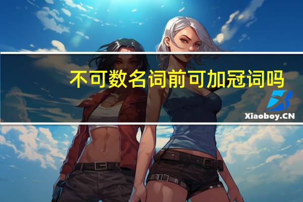 不可数名词前可加冠词吗