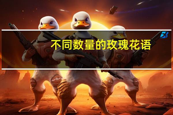 不同数量的玫瑰花语