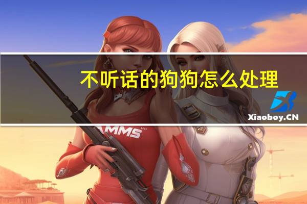 不听话的狗狗怎么处理