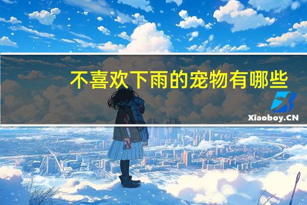 不喜欢下雨的宠物有哪些