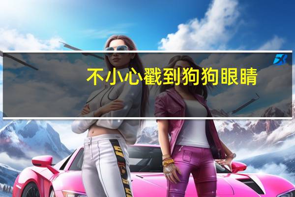 不小心戳到狗狗眼睛