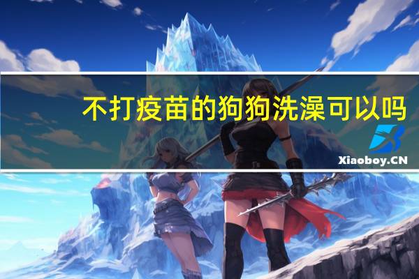 不打疫苗的狗狗洗澡可以吗