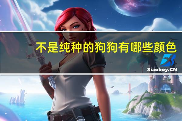 不是纯种的狗狗有哪些颜色