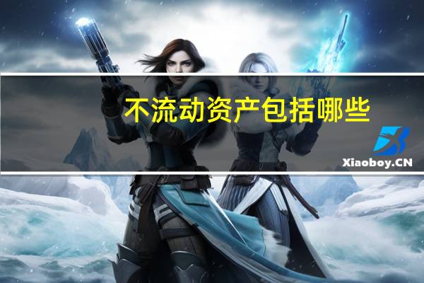 不流动资产包括哪些