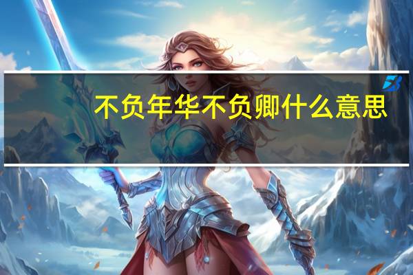 不负年华不负卿什么意思