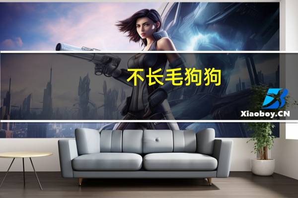 不长毛狗狗