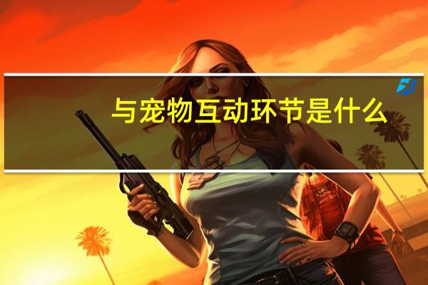 与宠物互动环节是什么