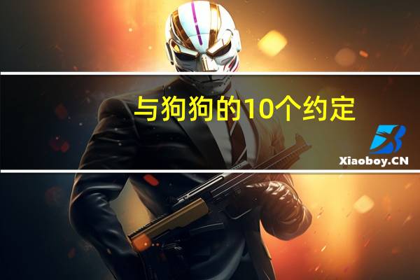 与狗狗的10个约定