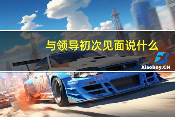 与领导初次见面说什么