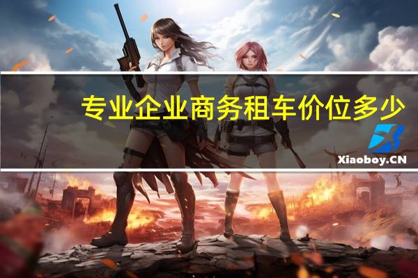 专业企业商务租车价位多少