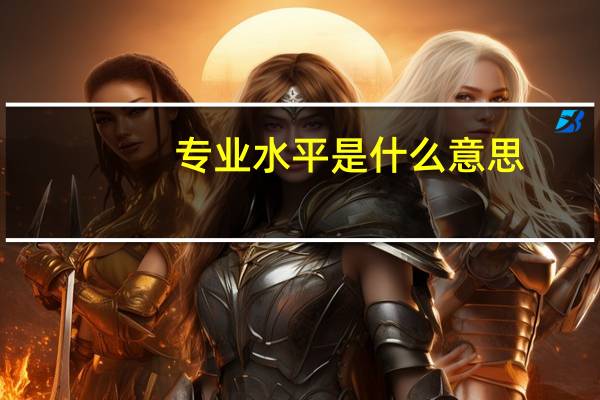 专业水平是什么意思