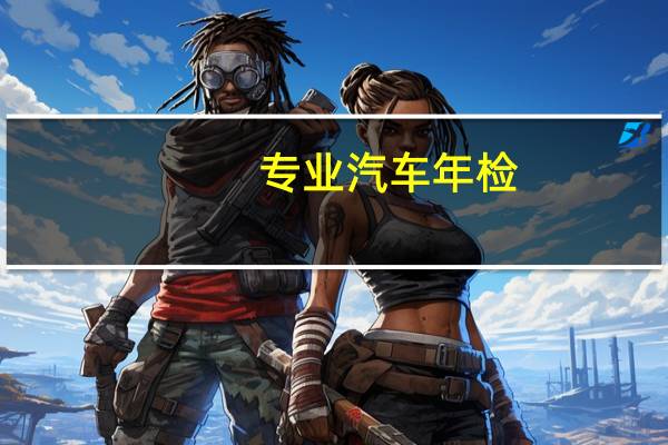 专业汽车年检